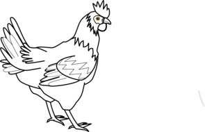 painted white rooster