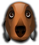 painted dachshund head