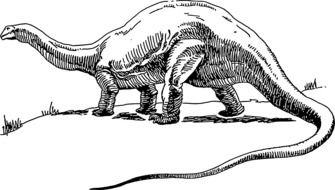 Black and white drawing of the Dinosaur with long tail