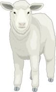 painted white furry sheep