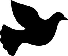 black silhouette of dove on white background