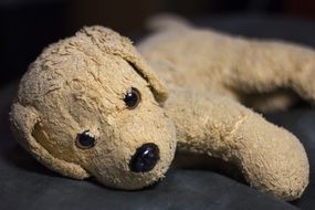 soft plush dog