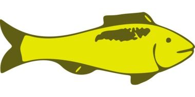 Fish Yellow Animal Emblem drawing