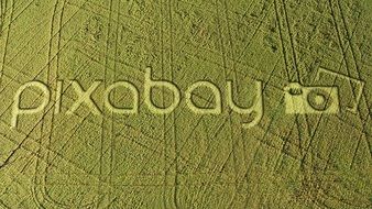 Pixabay Field Crop Circle