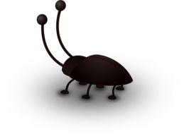 Cockroach Bug drawing