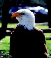 Adler Zoo
