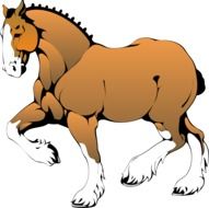 painted brown horse with big muscles