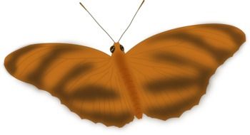 graphic image of a brown butterfly