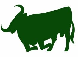 painted green silhouette buffalo