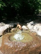 Boxer dog near the fountain in the park