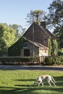 cottage among the picturesque landscape