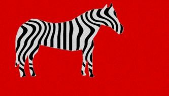Zebra Texture drawing
