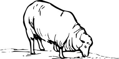 Grazing Sheep, black outline