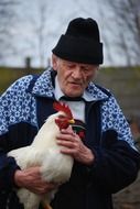 Cock Pets and Gentle Old