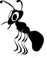 painted black ant