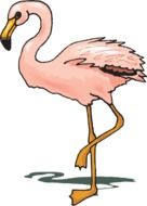 graphic image of an exotic flamingo