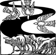 black and white drawing of birds and sheep
