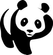 black and white panda drawing