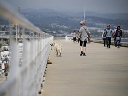 woman with Dog walking by fenced path