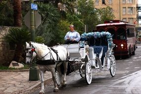 carriage on a city street