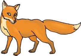 İllustration of Orange Fox