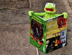 reading soft kermit