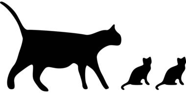 black silhouettes of three cats