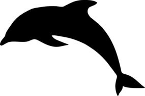 Dolphin Jump Silhouette drawing