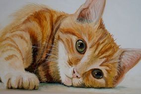 Drawing of Sweet red Cat