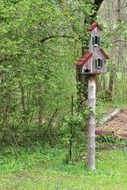 bird feeders on a tree