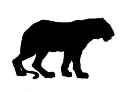 Tiger Black Silhouette drawing