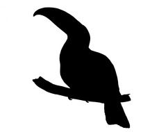 Silhouette of toucan clipart