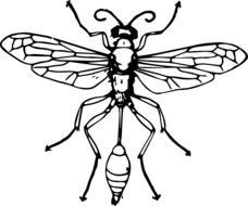 clipart of painted wasp