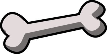 chicken bone