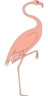 graphic image of a bird with pink plumage