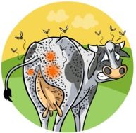 drawing of a bitten cow