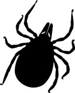 Tick, Sting Insect, black drawing