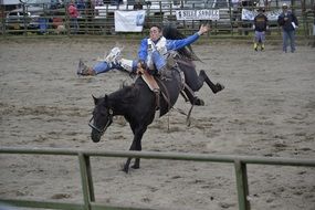 Rodeo in Alaska