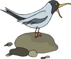 Seagull on the stone as a drawing