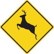 Deer Warning sign