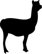 black silhouette of a lama