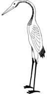 painted white crane