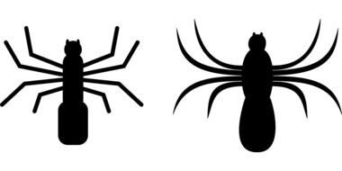 Clipart of Spider Insects silhouettes