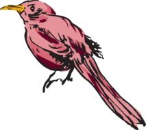 drawn pink bird