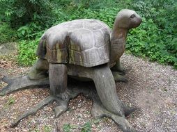 Turtle wooden decoration