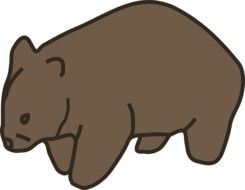 Brown wombat picture