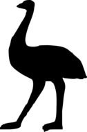 Emu Ostrich silhouette
