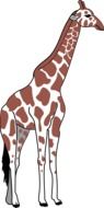 Giraffe Brown White Spots drawing