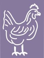 conceptual image of a chicken on a purple background