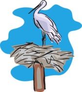 Colorful drawing of the pelican on the nest